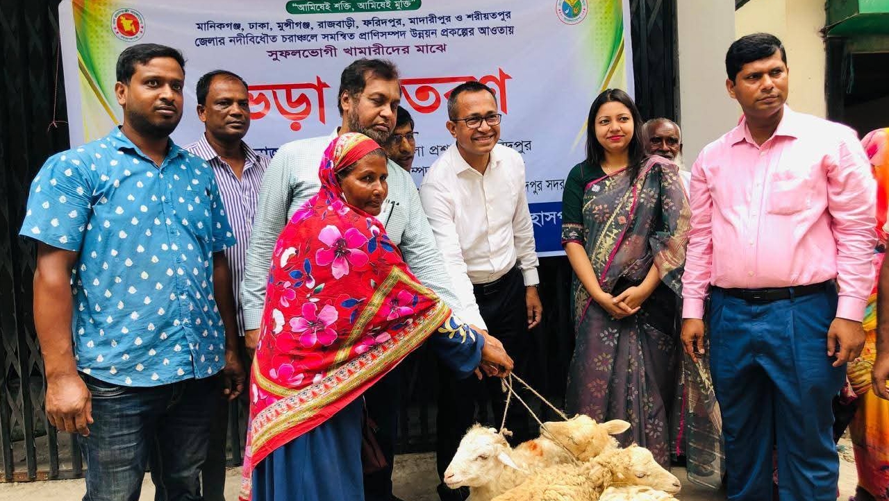 ফরিদপুর সহ সাত জেলার সুফলভোগী খামারিদের মাঝে ভেড়া বিতরণ