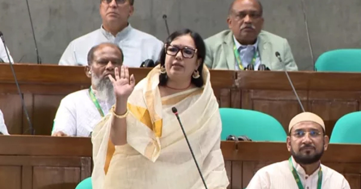 স্থানীয় নির্বাচন কবে রুমিন ফারহানার প্রশ্ন, জবাব দিলেন মন্ত্রী