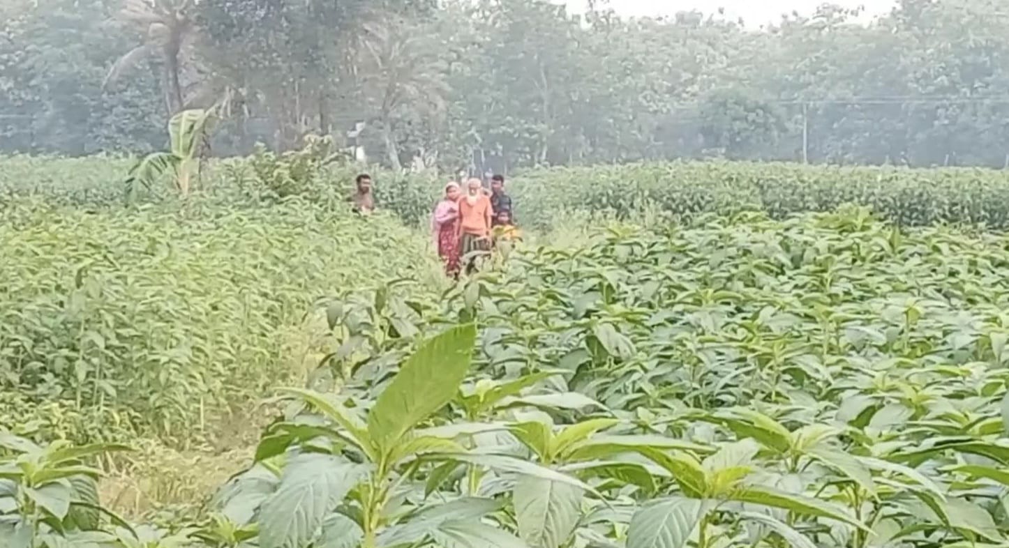 মেহেরপুরের তেঁতুলবাড়ীয়ায় সীমান্তের অবস্থান নেওয়া ৬  জনের হদিস মিলছে না