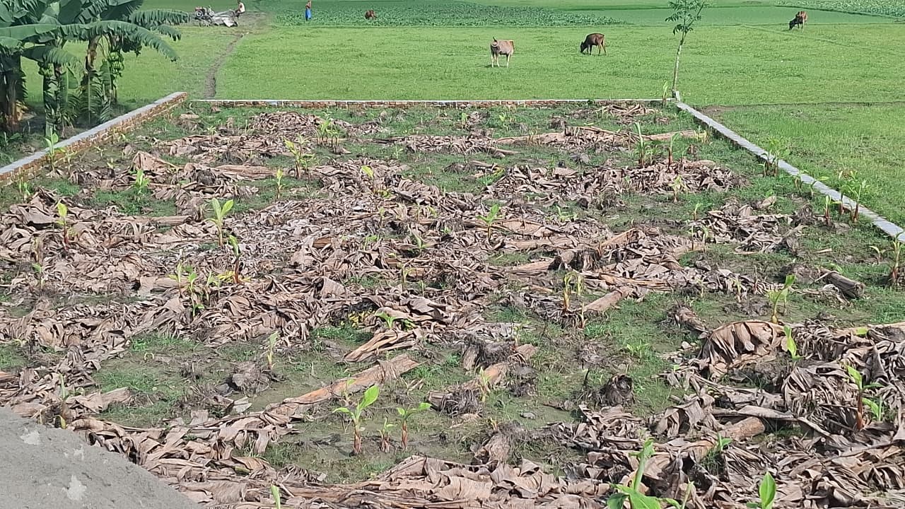 জমিজমা বিরোধের হামলায় আদালতে মামলা, নিরাপত্তাহীনতায় ভুক্তভোগী পরিবার