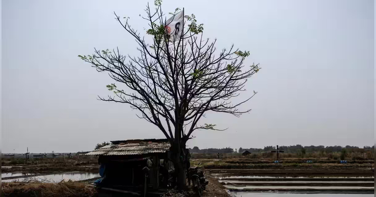 আরও শক্তিশালী হতে পারে এল নিনো, ফেব্রুয়ারি পর্যন্ত স্থায়ী হওয়ার শঙ্কা