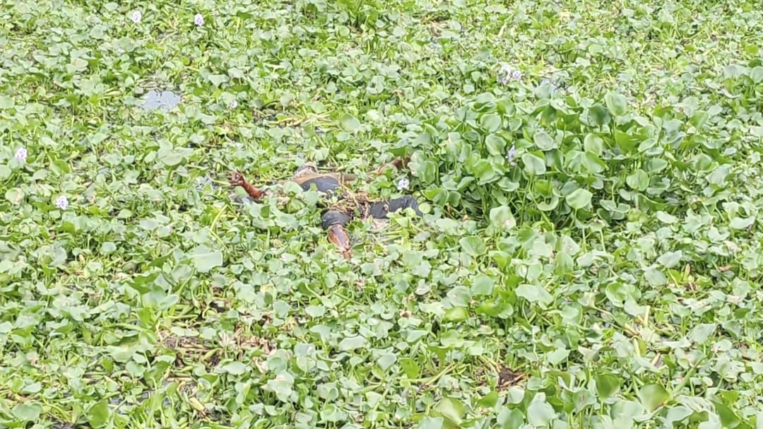 নারায়ণগঞ্জে শীতলক্ষ্যা নদী থেকে অজ্ঞাত পরিচয়ে এক যুবকের মরদেহ উদ্ধার