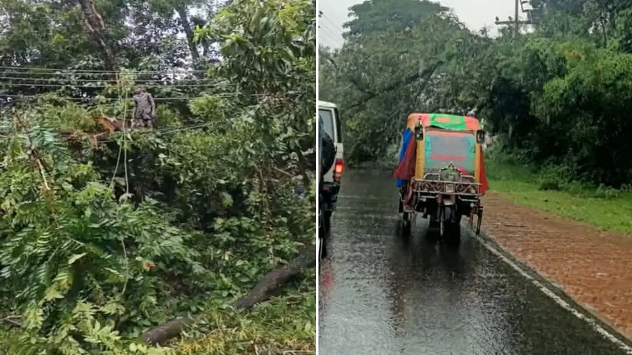 লাইনের ওপর ভেঙে পড়েছে গাছ, উখিয়া-টেকনাফে বিদ্যুৎ সরবরাহ বন্ধ