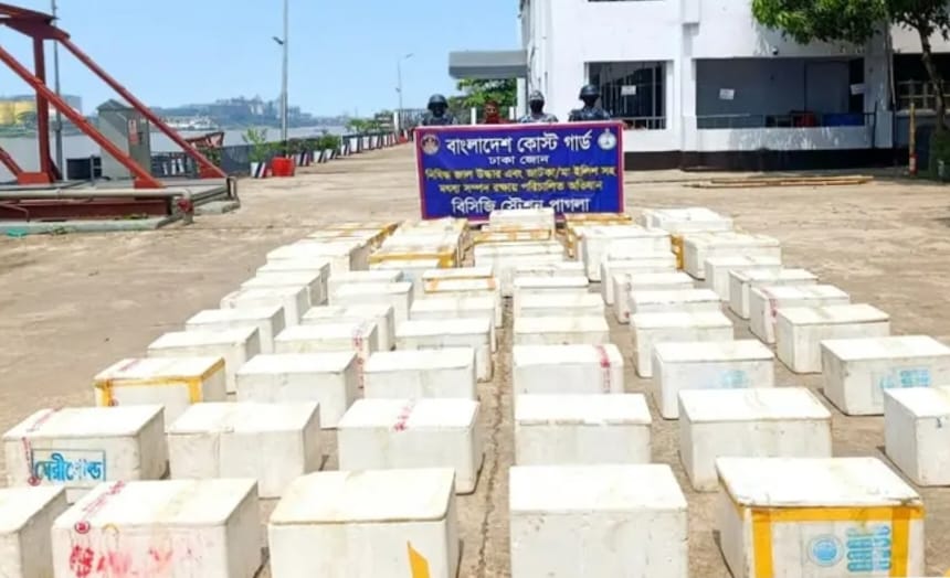 কোস্ট গার্ডের পৃথক অভিযানে ২কোটি ৪৮ লাখ টাকার অবৈধ চিংড়ি রেণু জব্দ