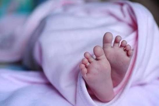 নির্জন জঙ্গলে নবজাতক, এলাকায় চাঞ্চল্য