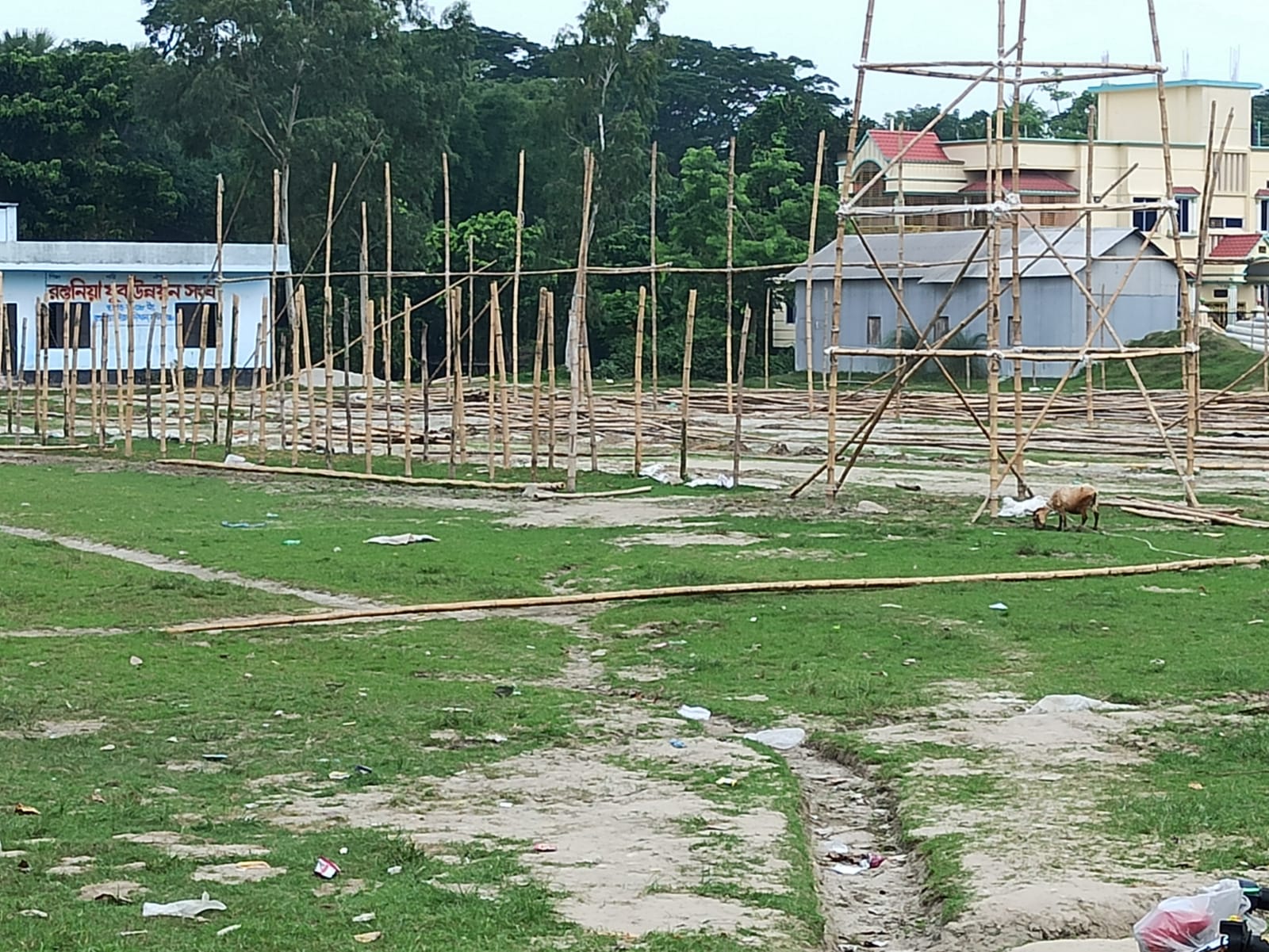 ঈদুল আজহার সাতদিন পরও রশুনিয়া স্কুল মাঠে রয়ে গেছে কোরবানির হাটের বর্জ্য