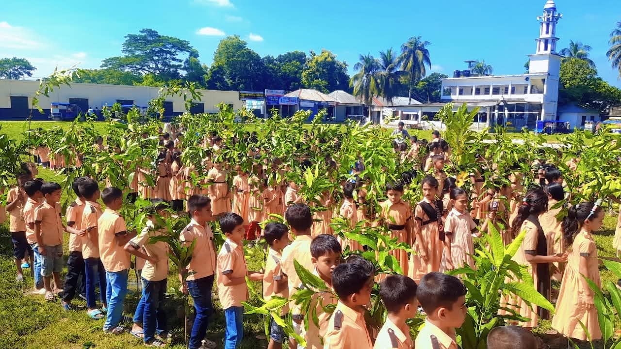 সোসাইটি ফর সোশাল সাভির্সের উদ্যোগে ৩ হাজার ১৪০টি গাছের চারা বিতরণ