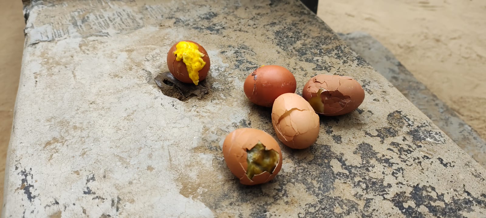 পচা মিড-ডে মিল বিতরণ: শিক্ষককে শোকজ!