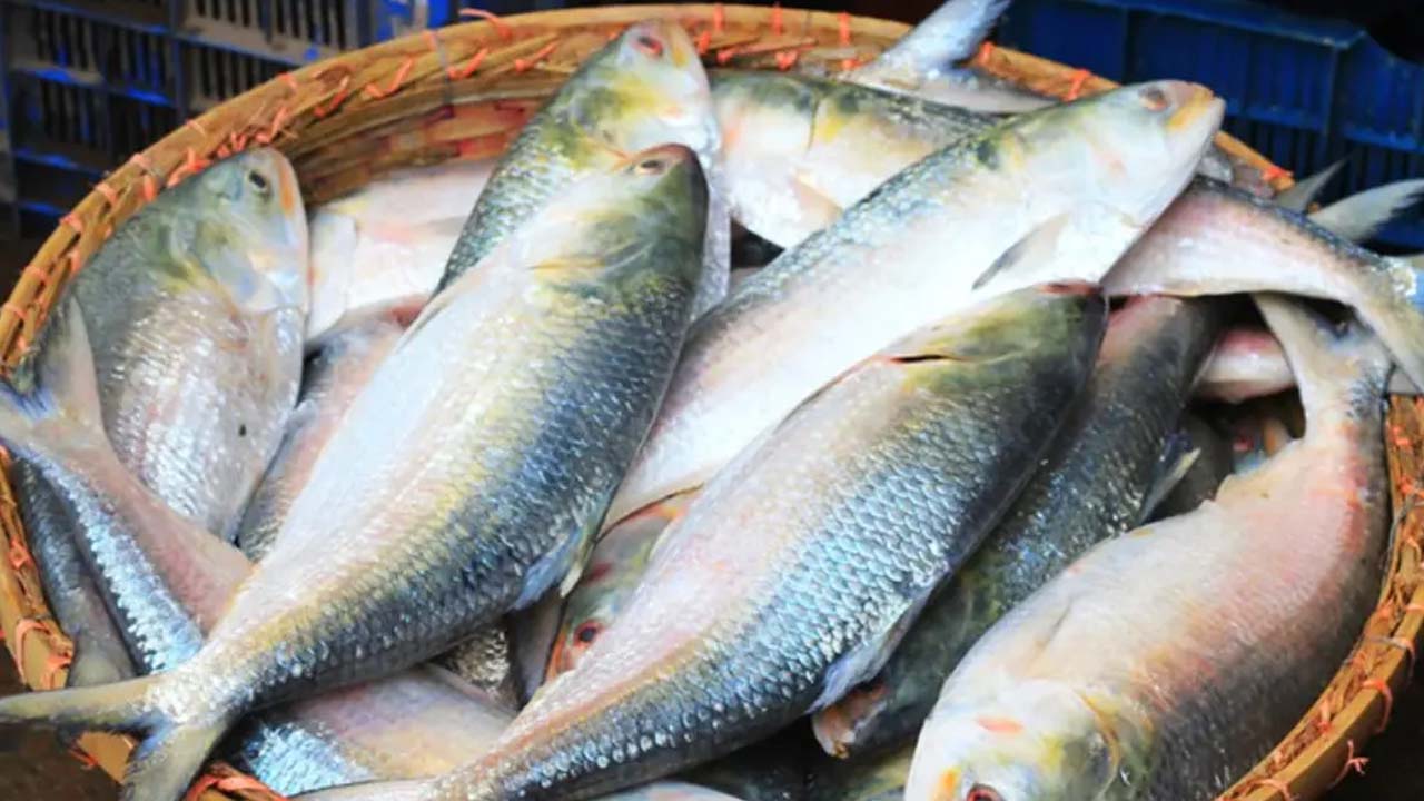 ভারতে ইলিশ রপ্তানি বন্ধের দাবি, সরকারকে আইনি নোটিশ