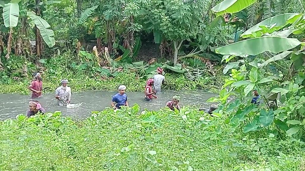 শৈলকুপায় স্বেচ্ছাশ্রমে পাউবোর ১৩ কিলোমিটার খাল পরিস্কার