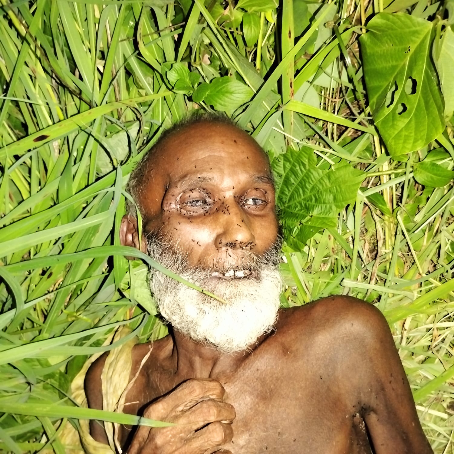 মীরসরাইয়ে পাহাড়ের চূড়া থেকে বৃদ্ধার মরদেহ উদ্ধার