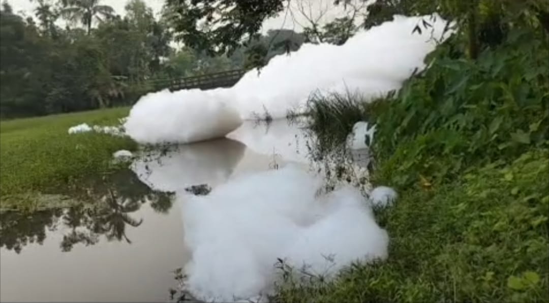ইনসেপটা শিল্পবর্জ্যে বিপর্যস্ত গাজিখালি নদী, তীরে ভাসছে মৃত মাছ; ঝুঁকিতে পরিবেশ ও জনস্বাস্থ্য