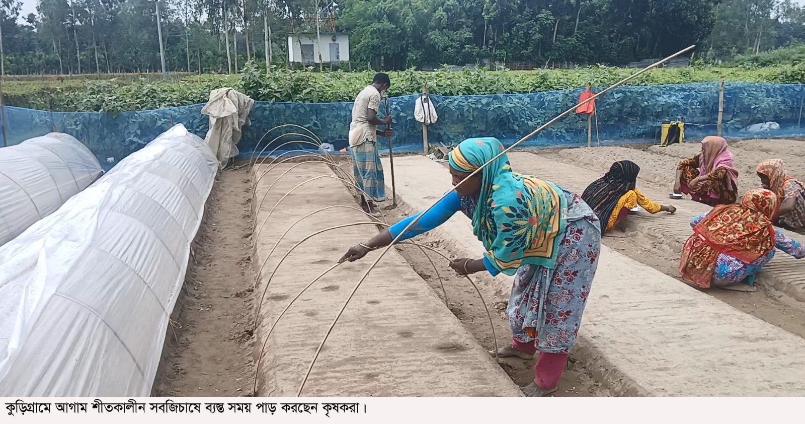 কুড়িগ্রামে আগাম সবজি চাষে বাঁধা সার-বীজ-কীটনাশকের উচ্চমূল্য
