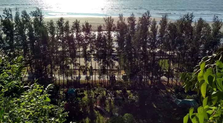 মেরিন ড্রাইভ প্রকল্পে গাছ না কেটে রক্ষা পেল প্রায় ৩ হাজার গাছ