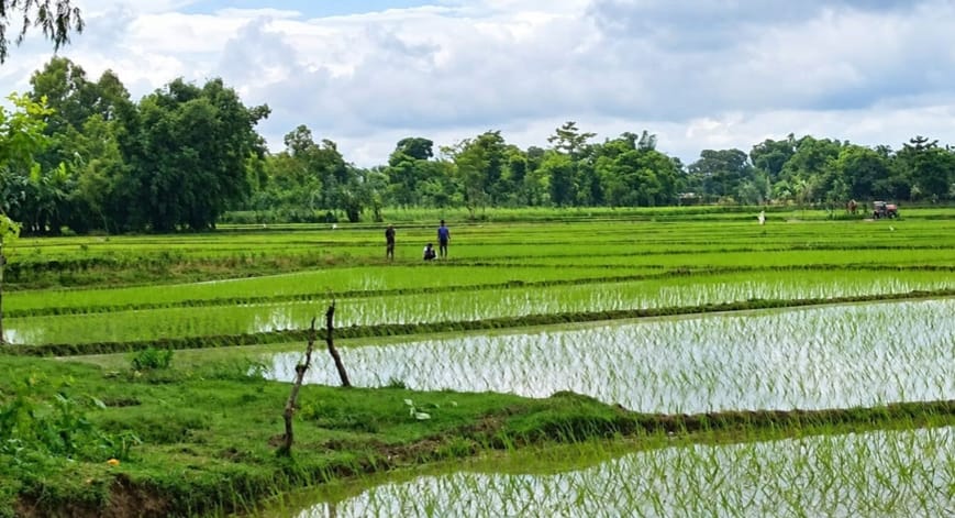 পাটগ্রাম সীমান্তে বিএসএফের কাঁটাতারের বেড়া নির্মাণের চেষ্টা, বিজিবির বাধায় পণ্ড