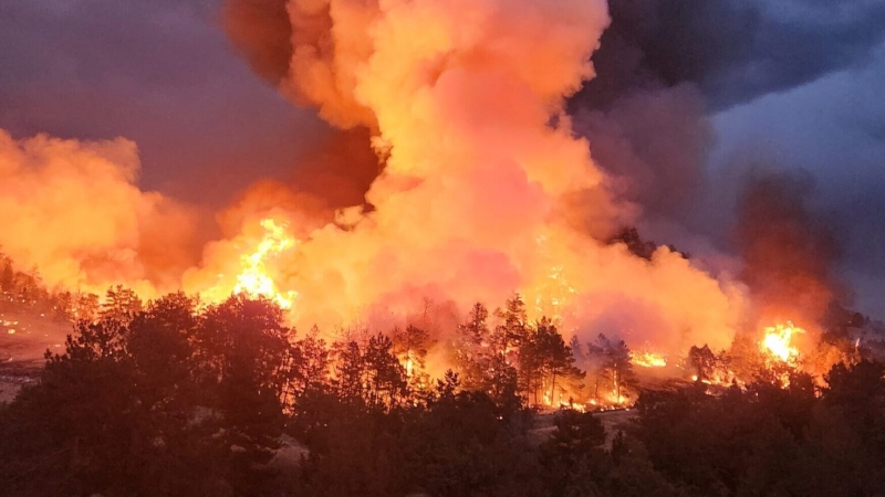 জ্বলছে যুক্তরাষ্ট্র, ৬ লাখ একরের বেশি এলাকা পুড়ে ছাই