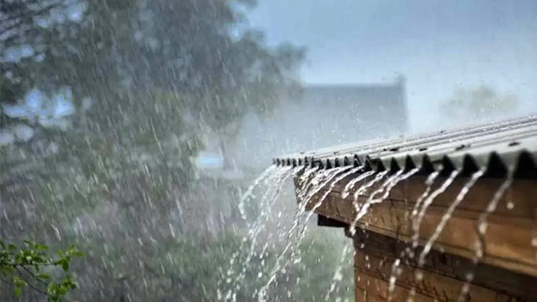 পাঁচ দিন পর বৃষ্টিপাতের প্রবণতা বাড়ার আভাস