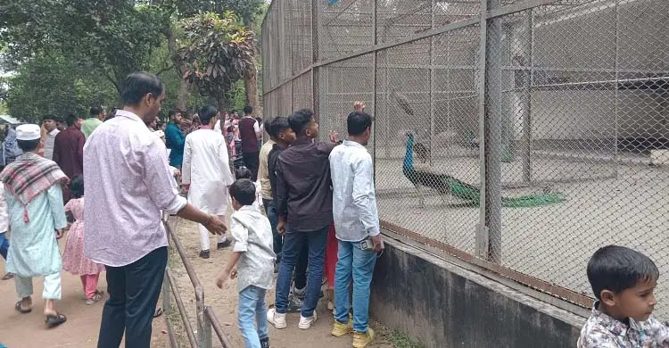 ঈদের দিনই চিড়িয়াখানায় ভিড়, বাঘ-ভালুক-বানরে মুগ্ধ দর্শনার্থীরা