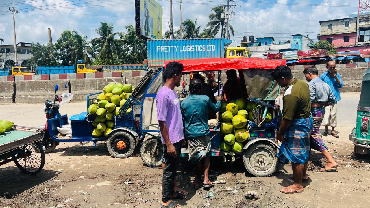 প্রতিমাসে কোটি টাকার ডাব বেচা-কেনা, ফেনীর লালপুলে নারিকেল ডাবের আড়ত, চালান যাচ্ছে ঢাকা-কুমিল্লা ও চট্টগ্রামে