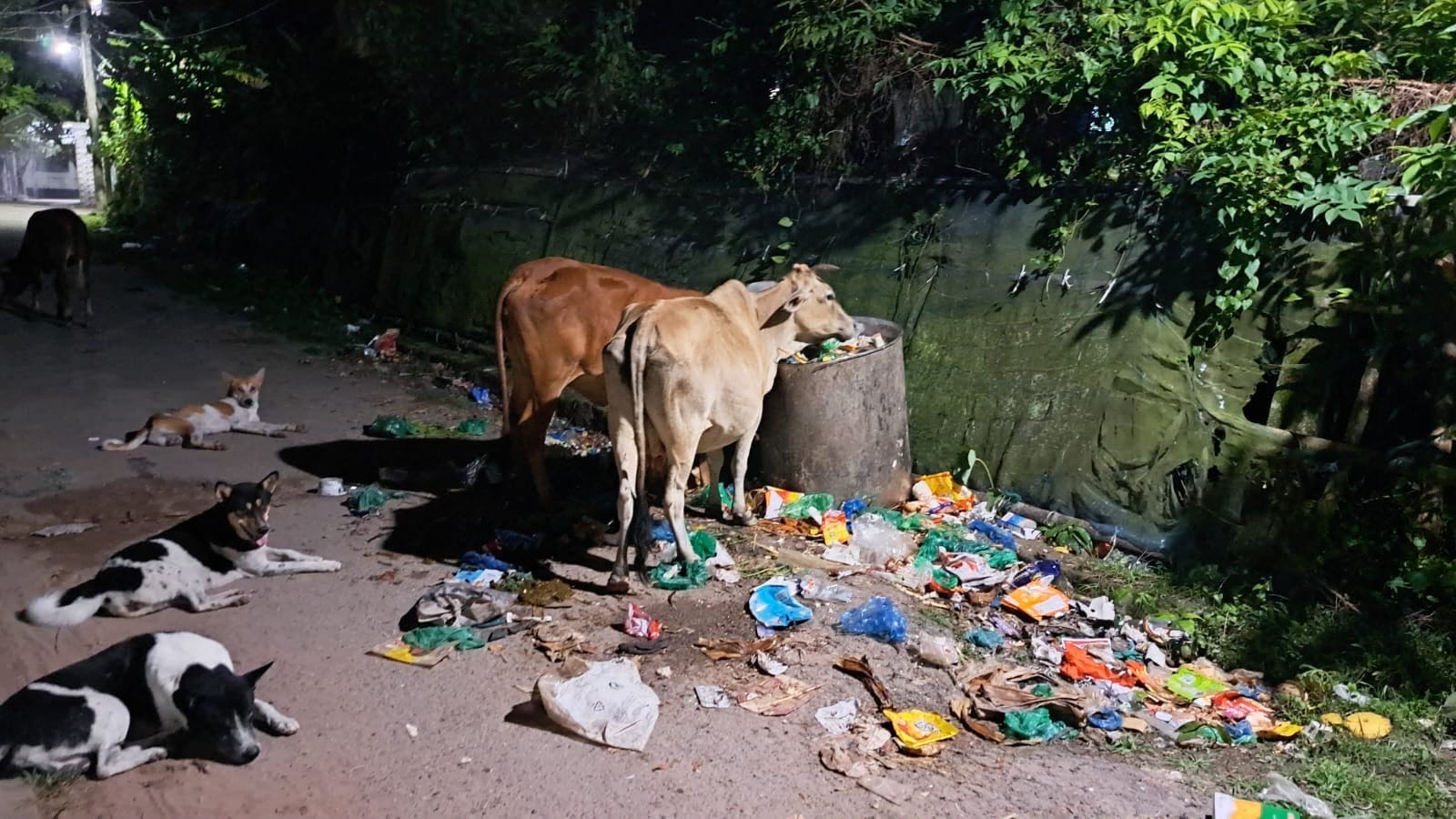 মঠবাড়িয়ায় পৌর এলাকায় কোটি টাকা ব্যয়ে স্থাপিত ডাস্টবিন অকেজো, শহরে ছড়াচ্ছে আবর্জনা