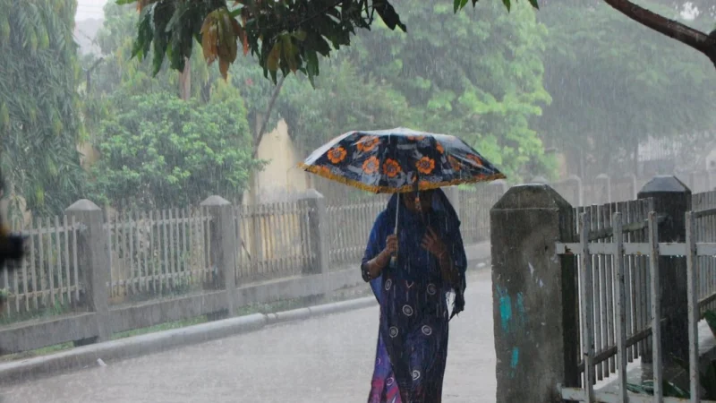 আজ যেসব জায়গায় বৃষ্টি হতে পারে