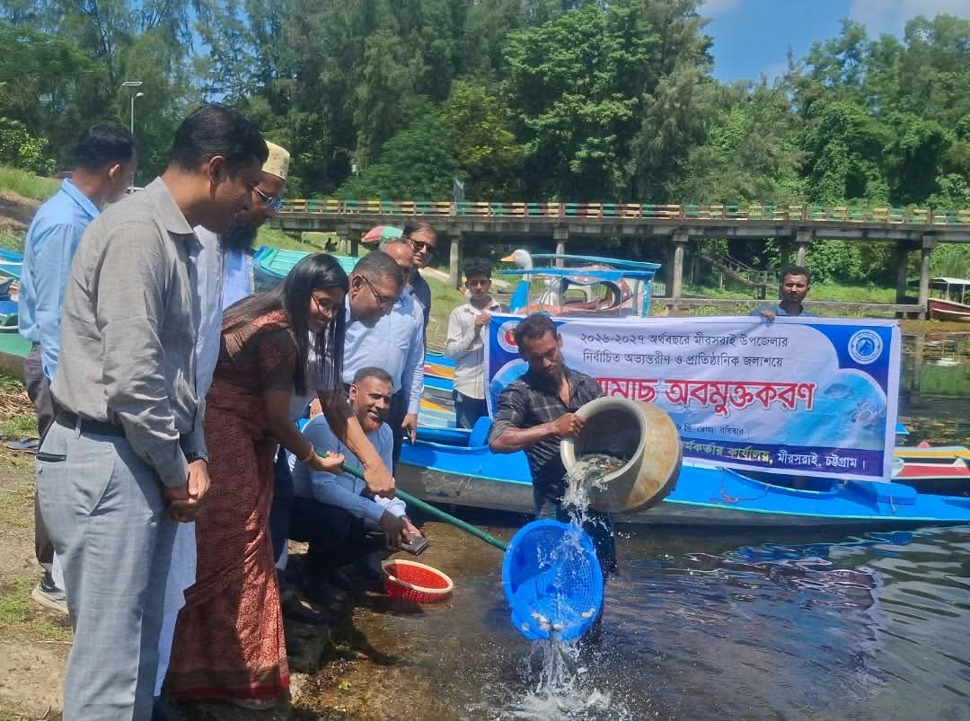 মীরসরাইয়ে ৭ জলাশয়ে ২২৩ কেজি পোনা মাছ অবমুক্ত