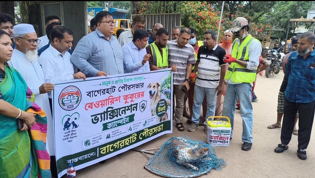 বাগেরহাটে বেওয়ারিশ কুকুরকে ভ্যাকসিন প্রদান শুরু