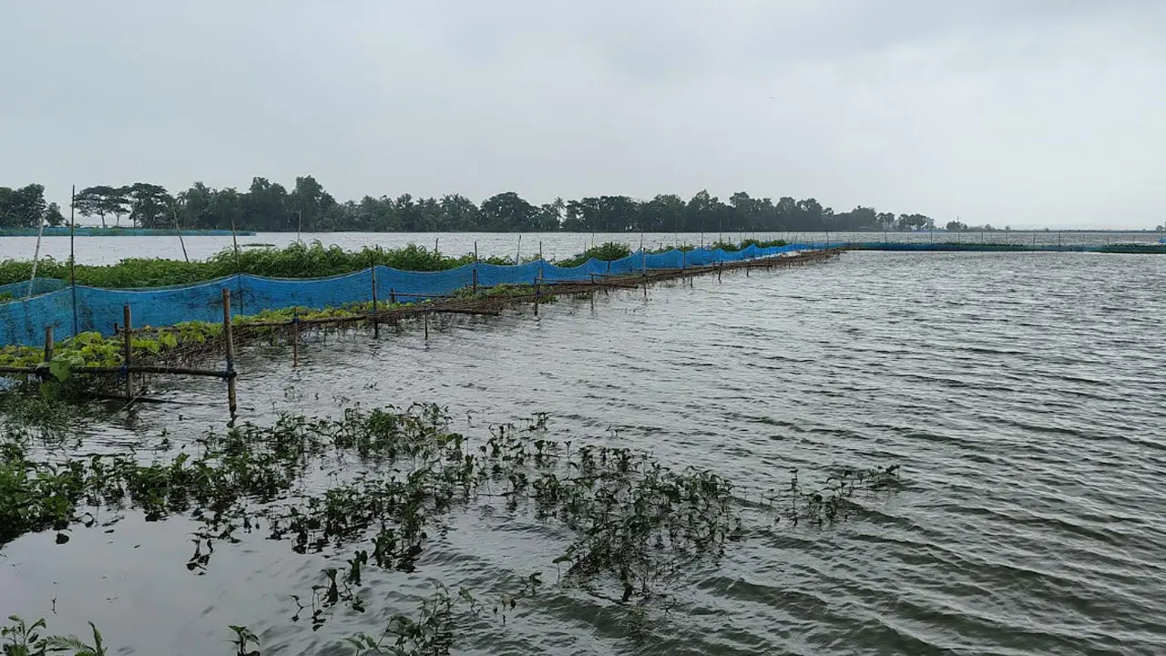 টানা বৃষ্টিতে আবারও ডুবছে ভবদহ, ৫০৩ হেক্টরের ২২০টি মাছের ঘের প্লাবিত
