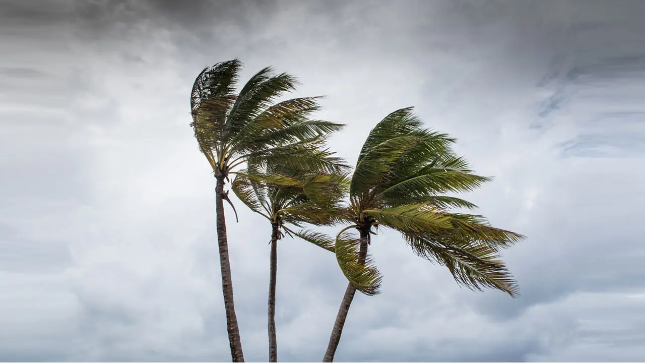 পাঁচ অঞ্চলে ঝোড়ো হাওয়া ও বজ্রবৃষ্টির আভাস, নদীবন্দরে সতর্ক সংকেত