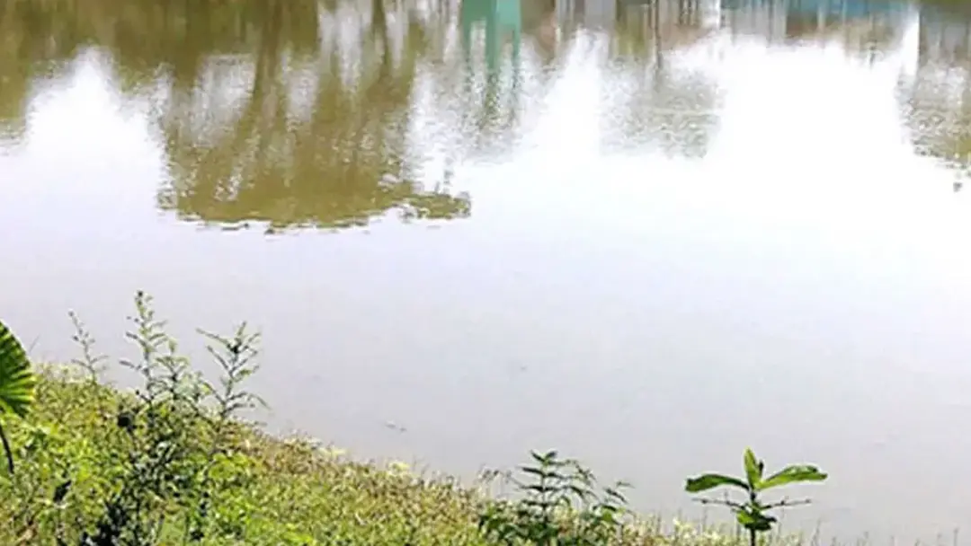 ভোলায় পুকুরে ডুবে ৩ শিশুর মৃত্যু
