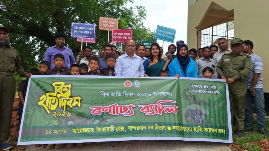 বিশ্ব হাতি দিবসে বান্দরবানে সচেতনতা সভা, ১২ পরিবারকে ক্ষতিপূরণ