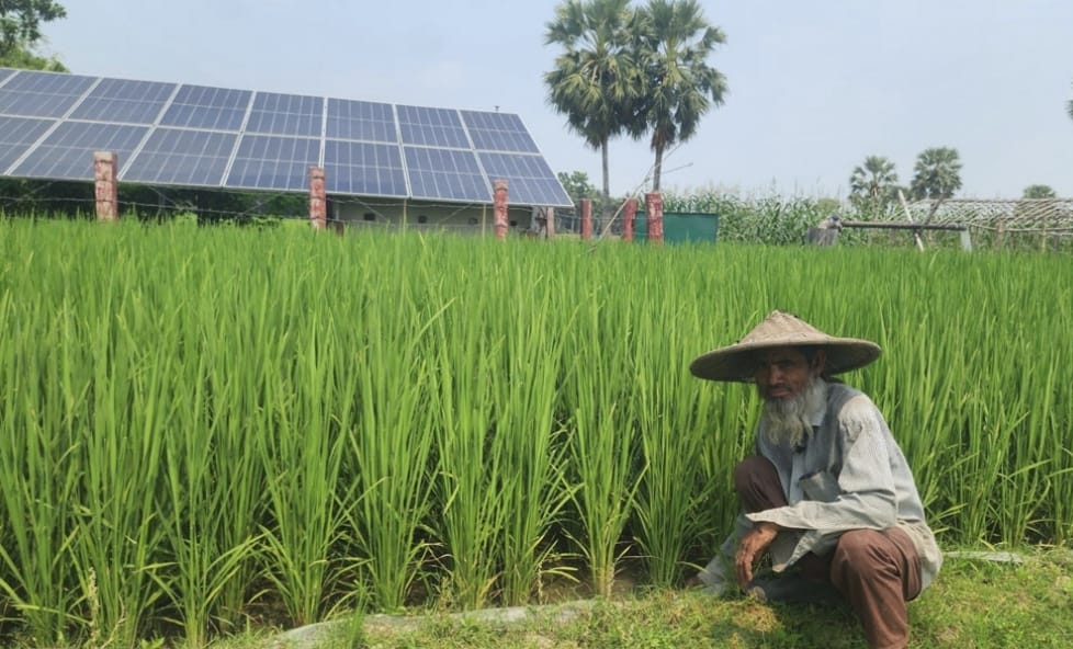 ডিজেল সংকটকালে শৌরবিদ্যুৎ চালিত গভীর নলকুপেই কৃষকের স্বপ্ন