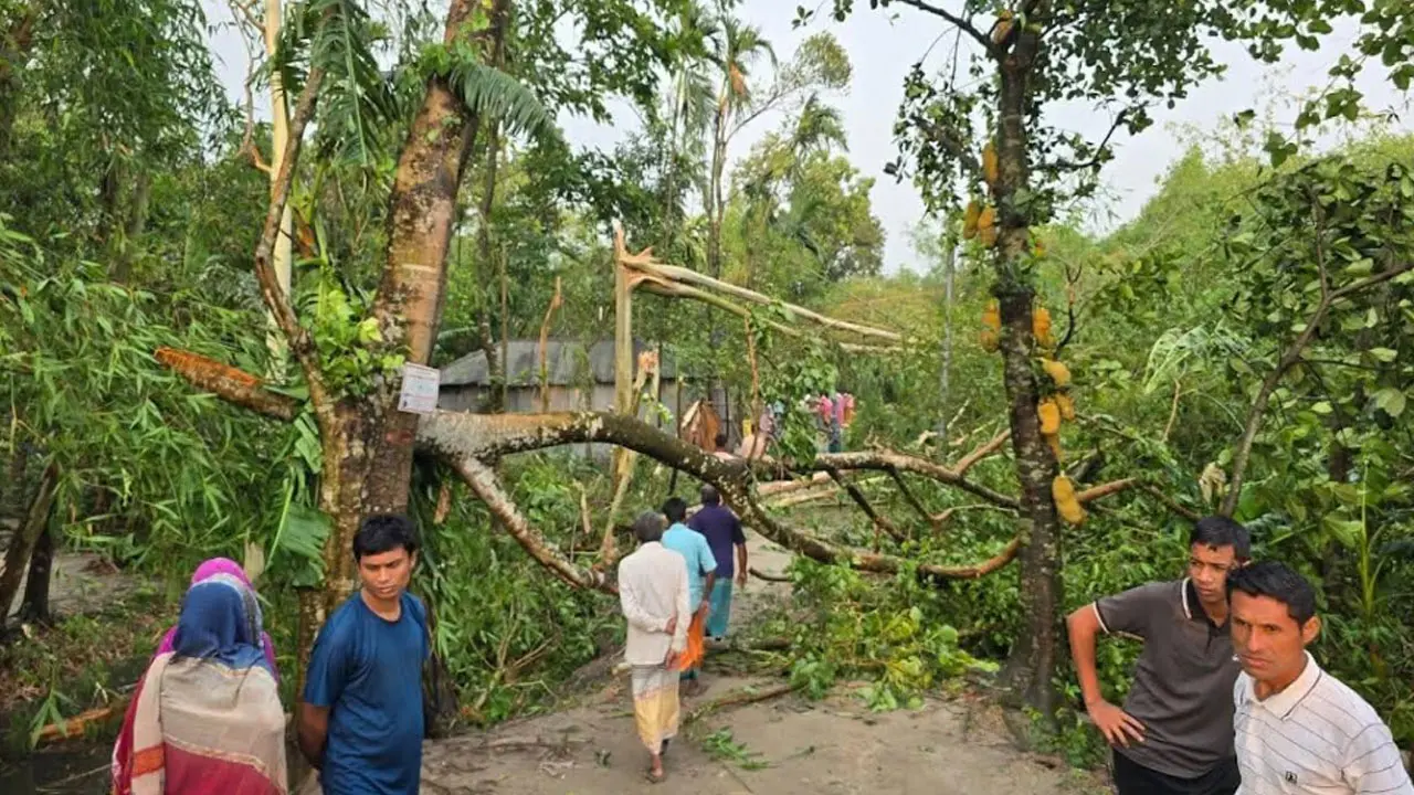 গাইবান্ধায় কালবৈশাখীর তাণ্ডব, লন্ডভন্ড গ্রাম