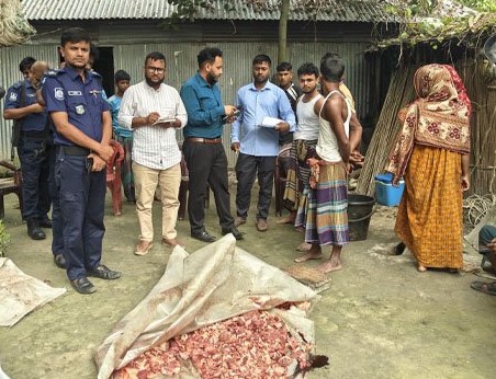 গাইবান্ধায় রোগাক্রান্ত গরু জবাই, মাংস মাটি চাপা দিয়ে কসাইয়ের জরিমানা