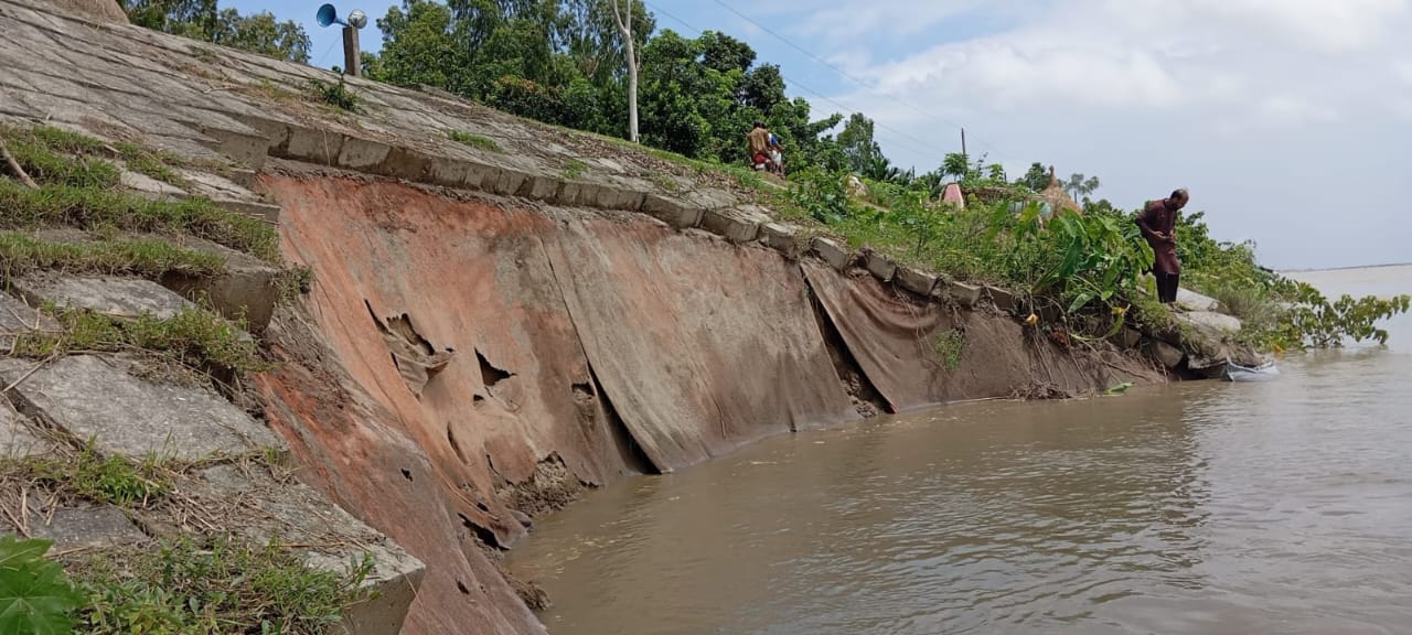 চিলমারীতে আবারও ধ্বস ব্রহ্মপুত্রের  ডানতীর রক্ষা বাঁধে, বাড়ছে আতঙ্ক
