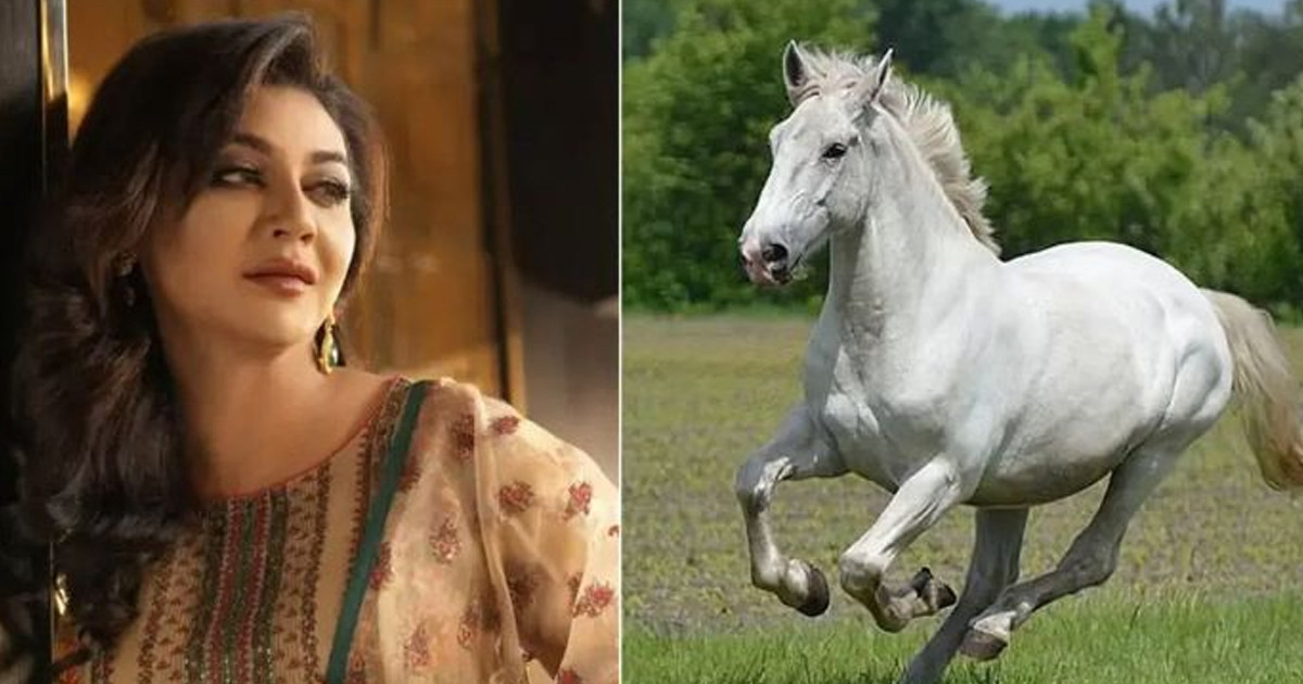 ঘোড়ার মাংস খাওয়া নিয়ে জয়া আহসানের রিট, যে নির্দেশ দিলেন হাইকোর্ট