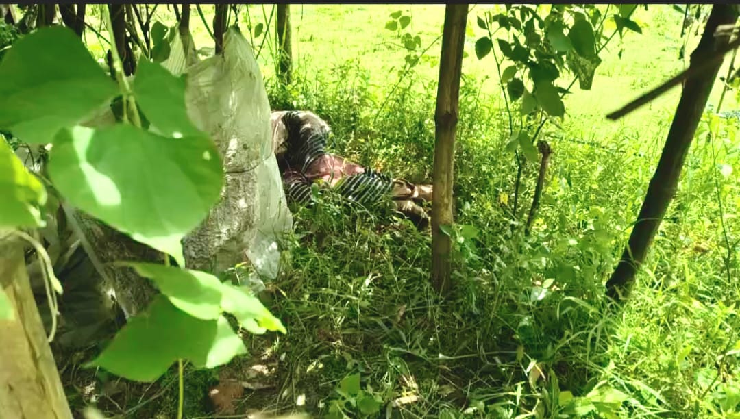 দুই দিন পর মিলল নিখোঁজ বৃদ্ধের লাশ