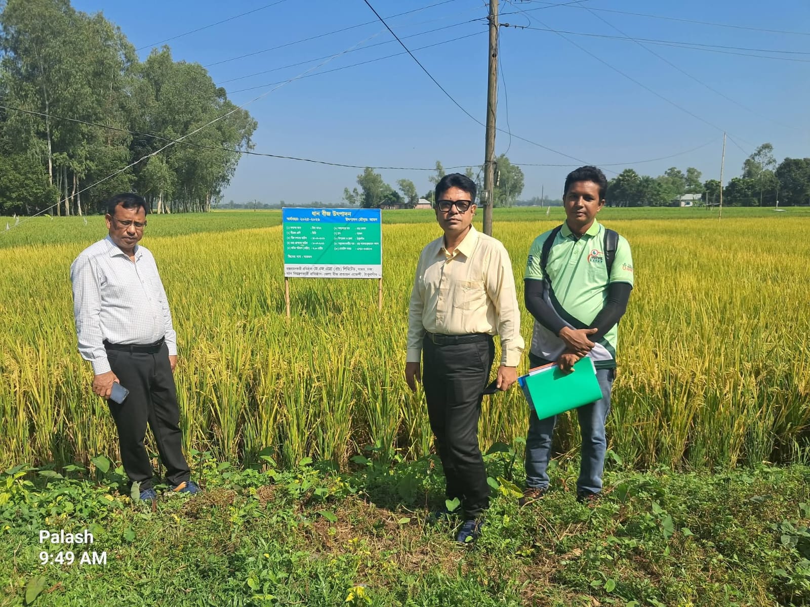 ঠাকুরগাঁও সদরে আমন ধান বীজ উৎপাদন মাঠ পরিদর্শন করলেন RSCO ও DSCO