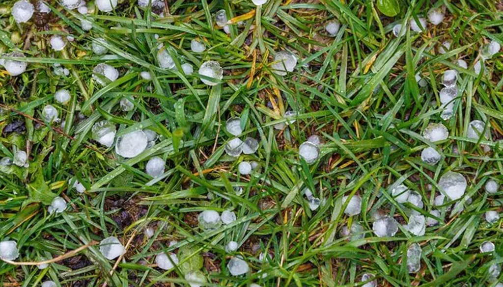 টানা ৩ দিন শিলাবৃষ্টির শঙ্কা