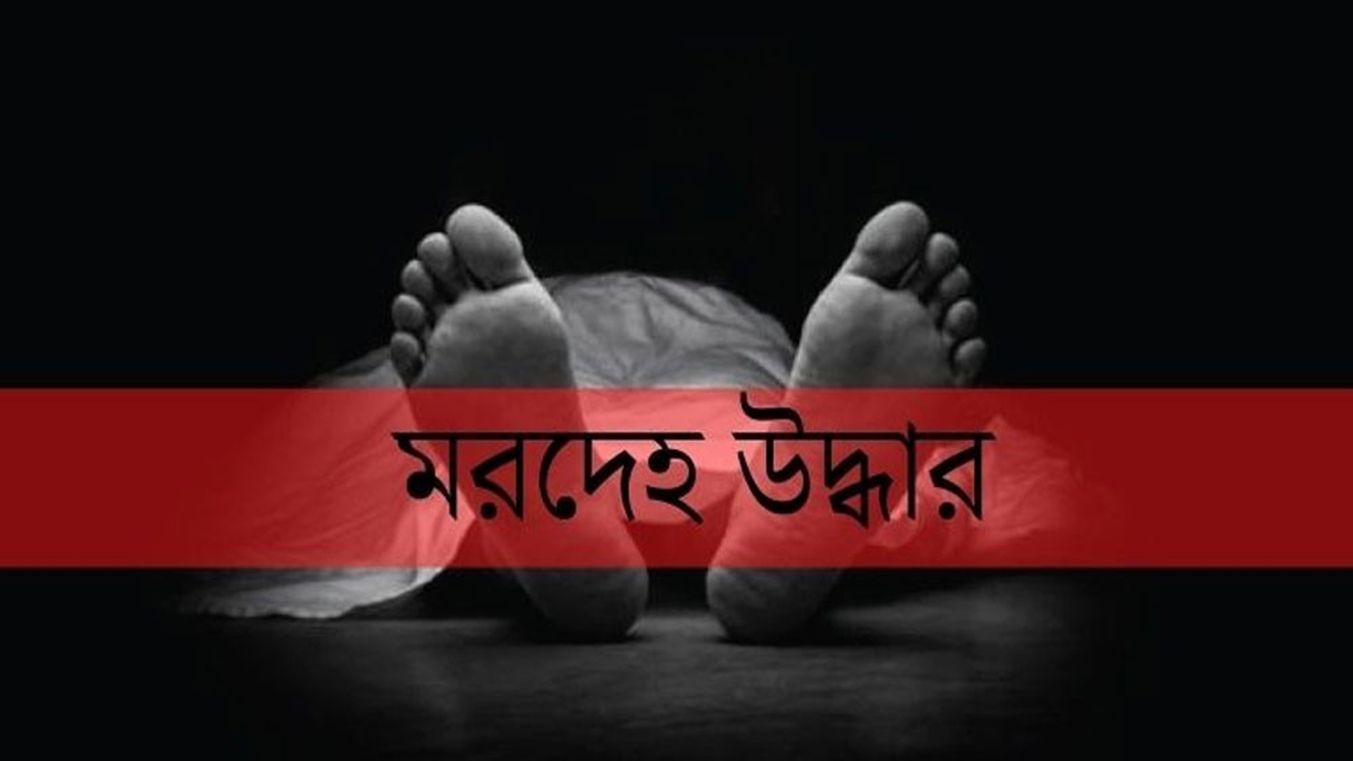 শার্শা উপজেলার বেনাপোল সীমান্তবর্তী এলাকা থেকে এক যুবকের মরদেহ উদ্ধার