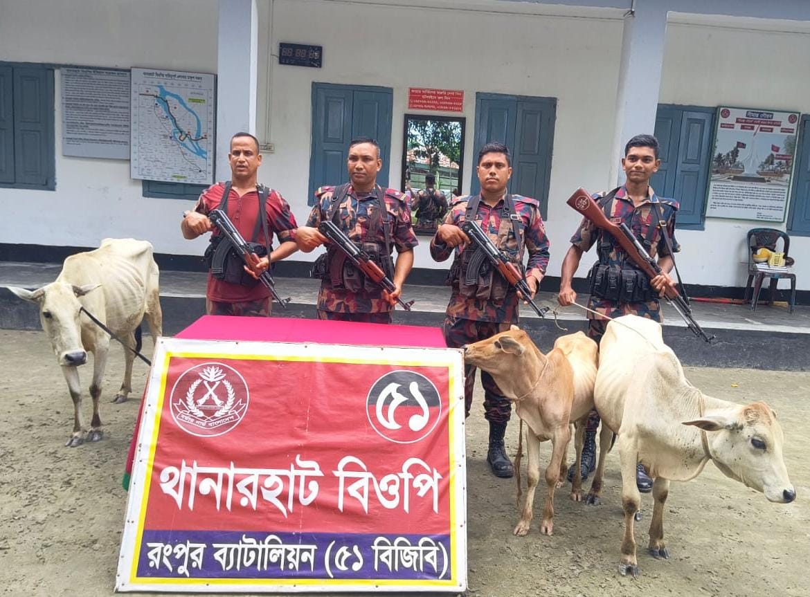 ডিমলা সীমান্তে অবৈধভাবে ভারত থেকে আনা ৩ গরু জব্দ