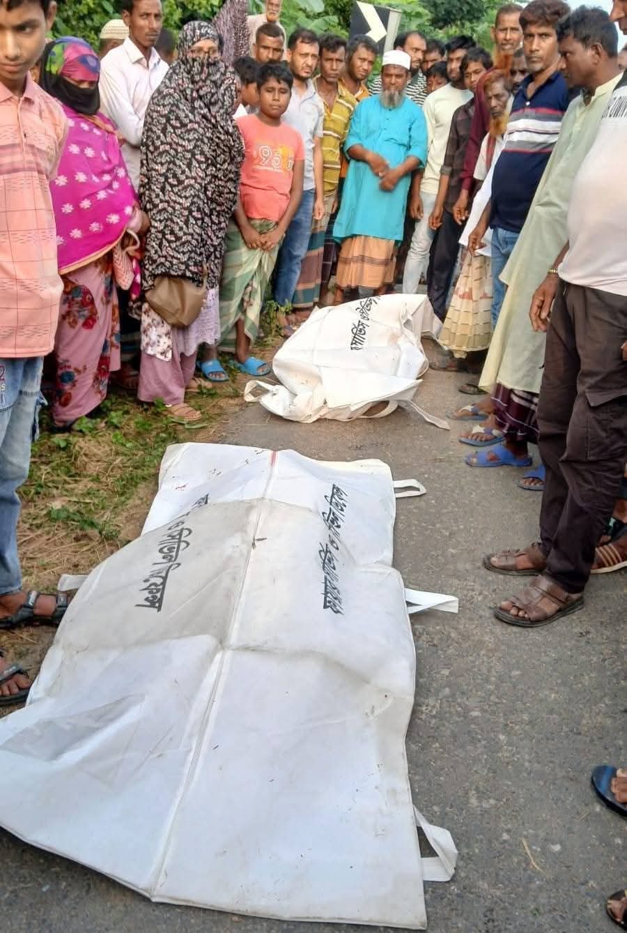 ডাক্তার দেখিয়ে ফেরার পথে প্রাণ গেল মা-মেয়ের