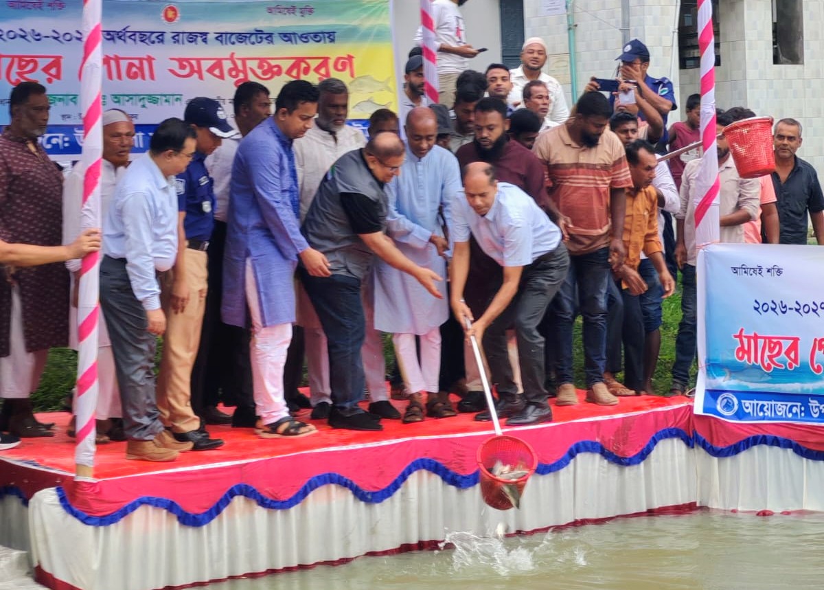 শৈলকুপায় ১০ জলাশয়ে মাছের পোনা অবমুক্ত