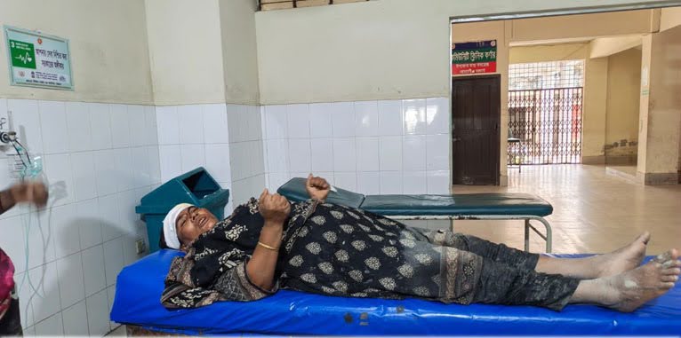 আমতলীতে এক নারীকে চাপাতি দিয়ে কুপিয়ে জখমের অভিযোগ!
