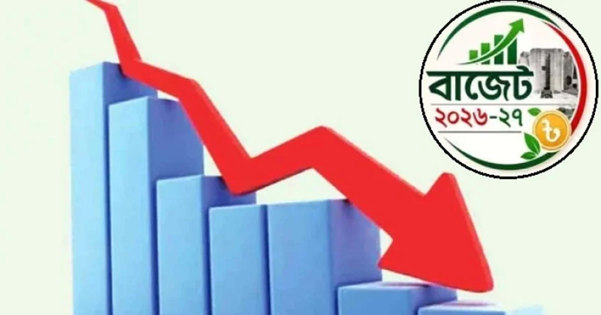বাজেটে কর কমতে পারে যেসব পণ্যের