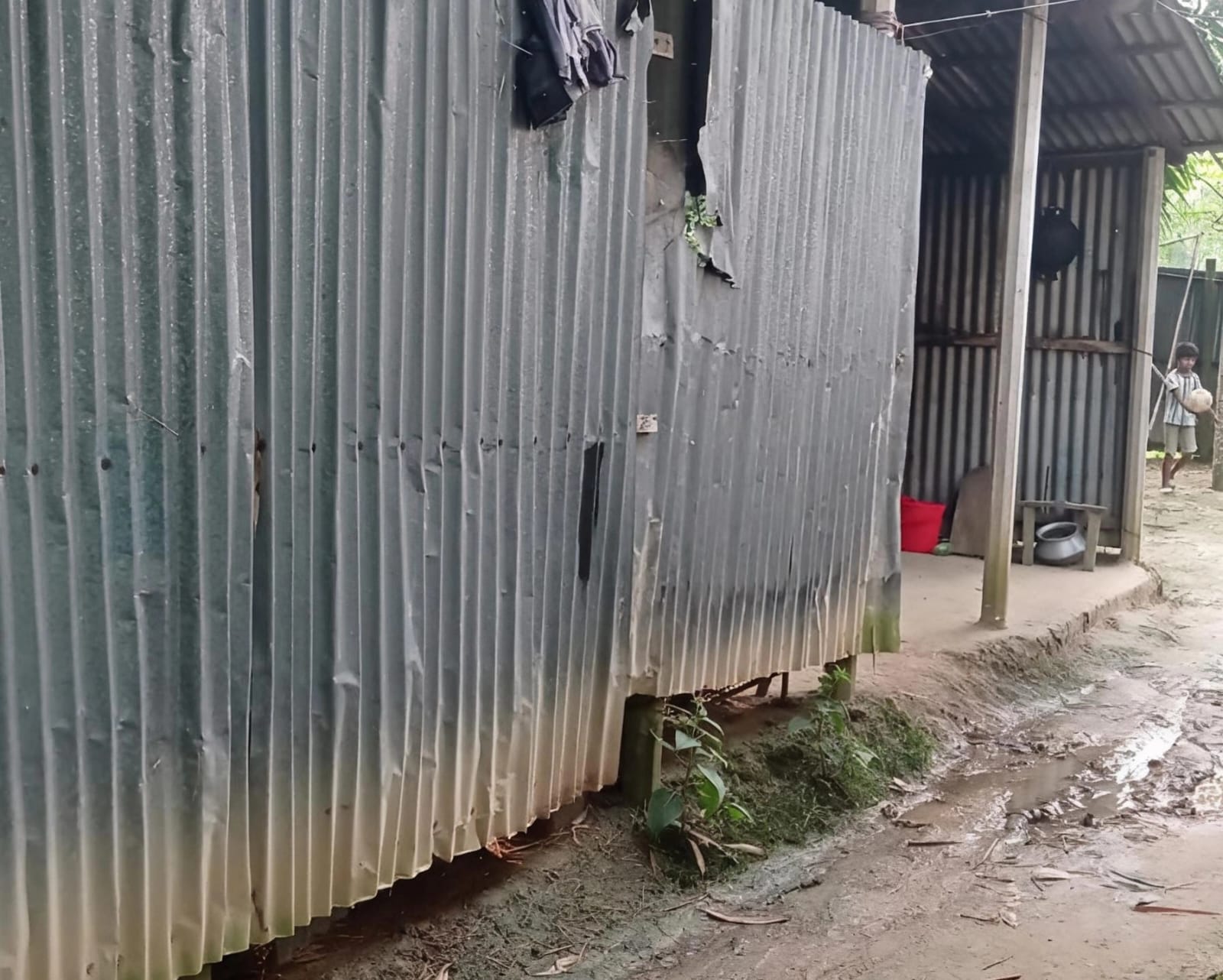 এক রাতেই তিন গোয়ালঘর খালি, চোর নিল চার গরু