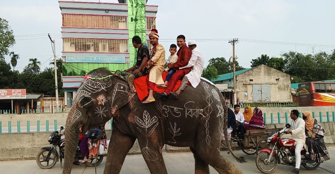 মা-বাবার শখ পূরণে হাতির পিঠে বরযাত্রা, দেখতে পেলেন না কনে