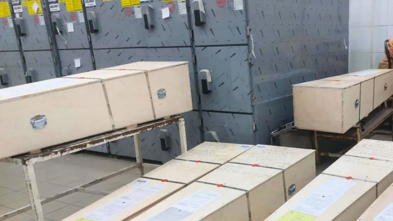 তিন দেশ থেকে এক দিনে পৌঁছেছে ৩৪ প্রবাসীর মরদেহ