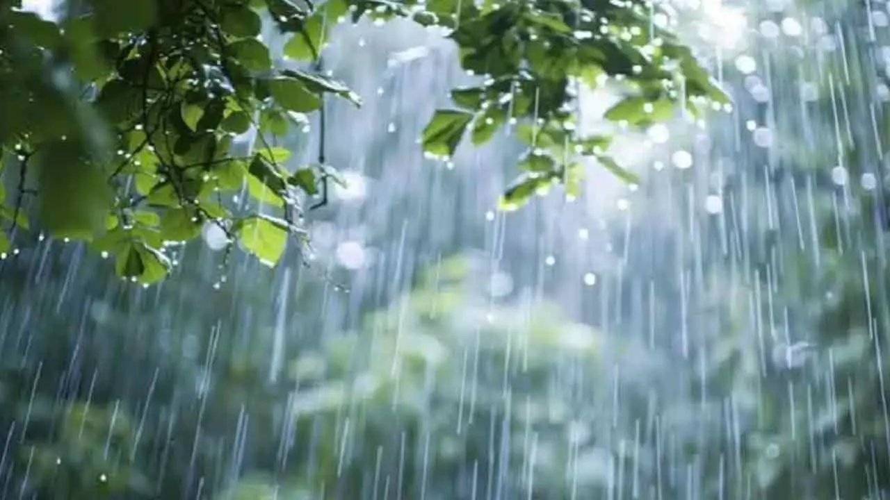 গরম কমার আভাস, ঢাকায় বজ্রসহ বৃষ্টির সম্ভাবনা