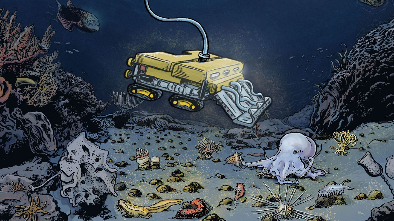 মানুষের হাতে এবার ধ্বংস হচ্ছে সমুদ্রতলের বিস্ময়